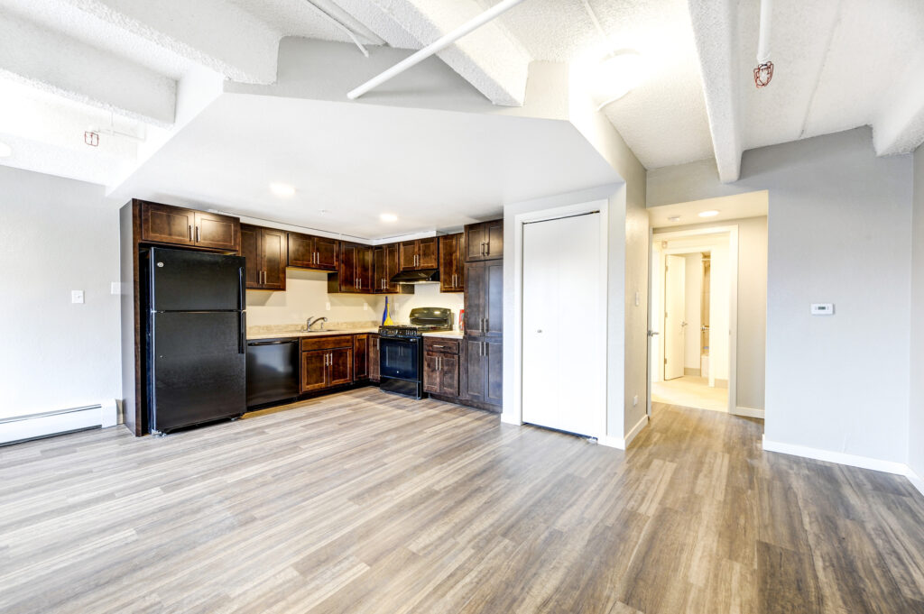 Open plan apartment interior with modern kitchen cabinets, appliances, and spacious living area design