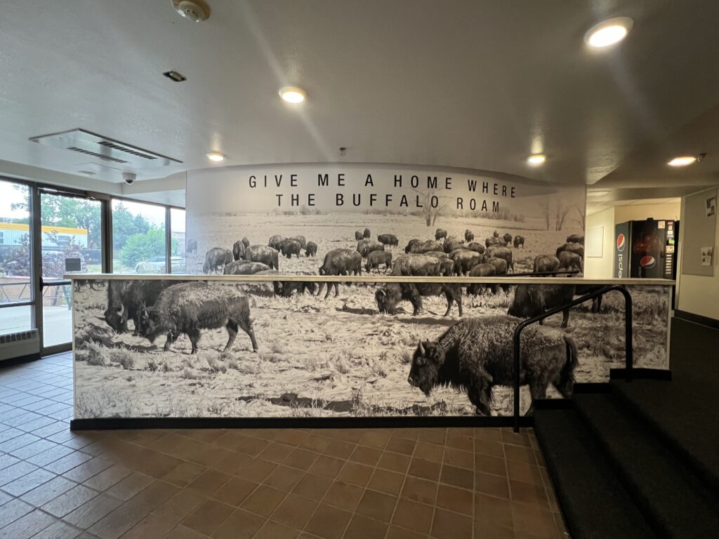 Large black and white buffalo mural displayed on an interior wall in a public building
