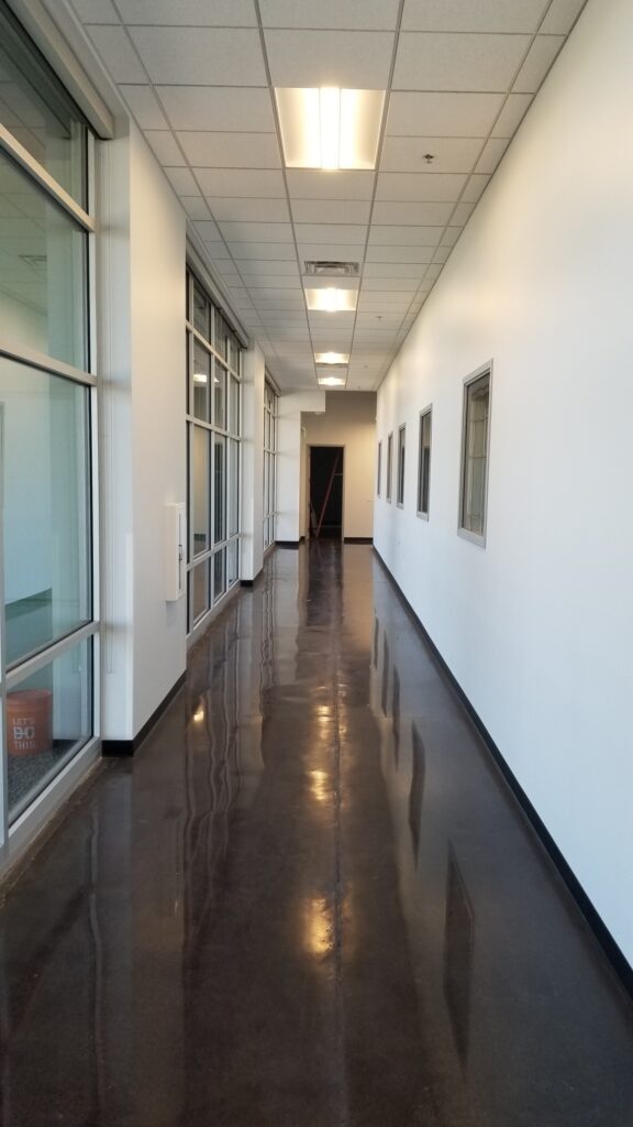 Modern office corridor featuring glass partition walls, polished concrete floor, white walls, and contemporary ceiling lighting